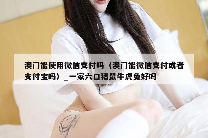 澳门能使用微信支付吗(澳门能微信支付或者支付宝吗)_一家六口猪鼠牛虎兔好吗